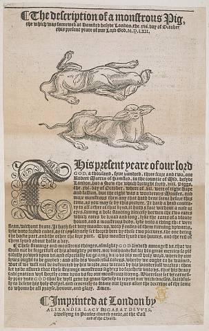 Preview of British Library - Huth 39.) Image BL_Huth50_39_2448x2448.jpg