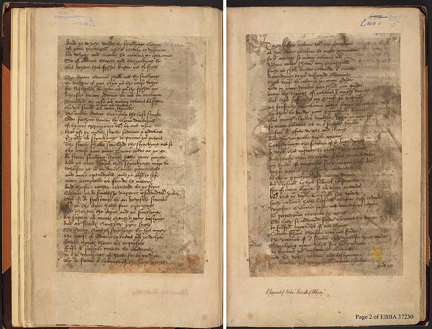 Preview of British Library - Bagford 9.(5.) Image BL_album_C40m09_005_2448x2448.jpg