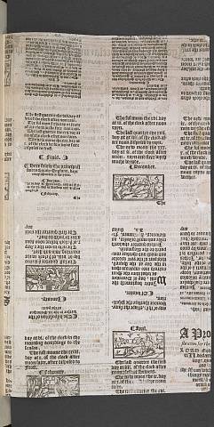 Preview of British Library - Huth 49*.) Image BL_album_Huth50_49star_2448x2448.jpg