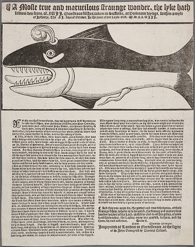 Preview of Huntington Library - Britwell 18306 Image hunt_1_18306_2448x2448.jpg