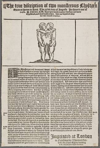 Preview of Huntington Library - Britwell 18316 Image hunt_1_18316_2448x2448.jpg