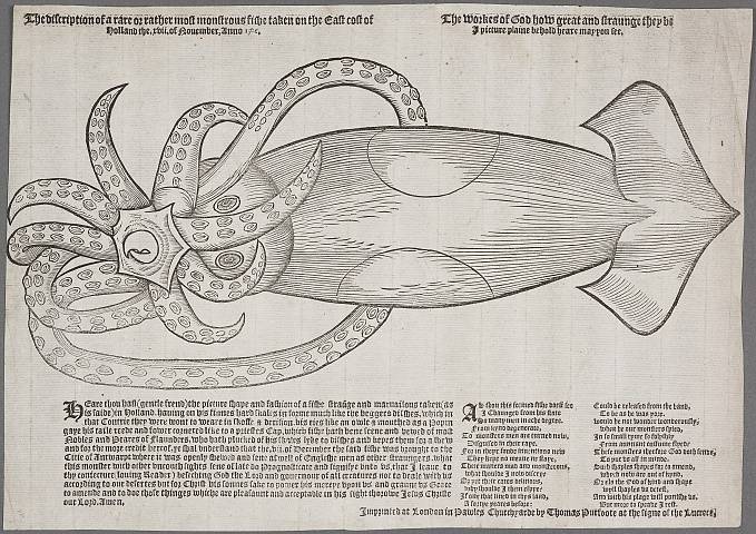 Preview of Huntington Library - Britwell 18317 Image hunt_1_18317_2448x2448.jpg